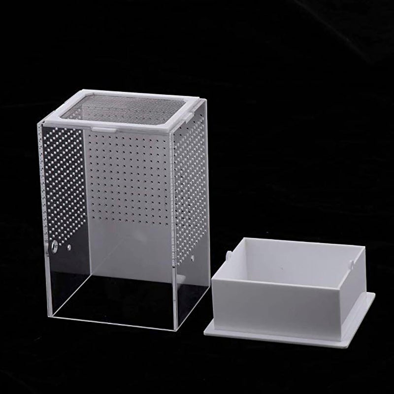 OMEM Reptile Breeding Box, Insect Incubator, for Orchid Mantis, African Phantom Mantis, Reptile Resting Habitat and Entertainment - Image 4